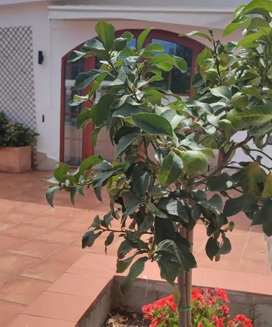 Detached Villa For 6 People In Lloret De Mar With Comunal Outdoor Swimming Pool Puigventos Spain